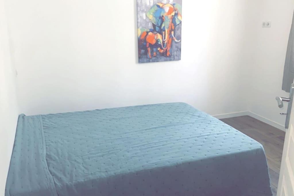 Appartement T2 Chez Thomas Et Nas Omessa Eksteriør billede